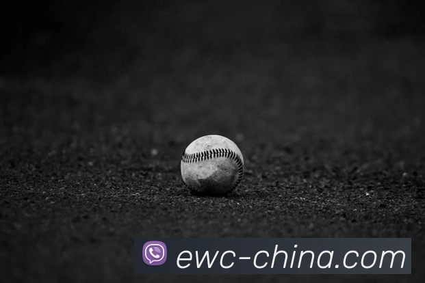 App Interface Preview